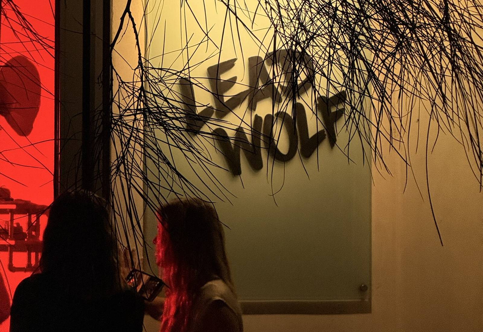The Lead Wolf studio door in Bird Rock
